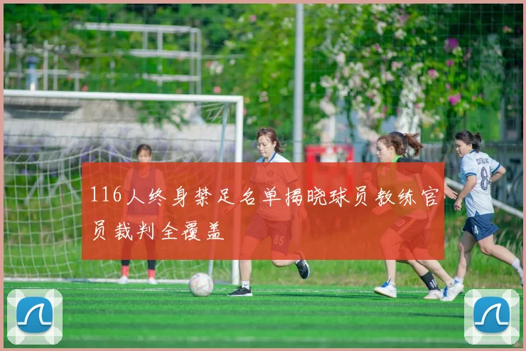 116人终身禁足名单揭晓球员教练官员裁判全覆盖